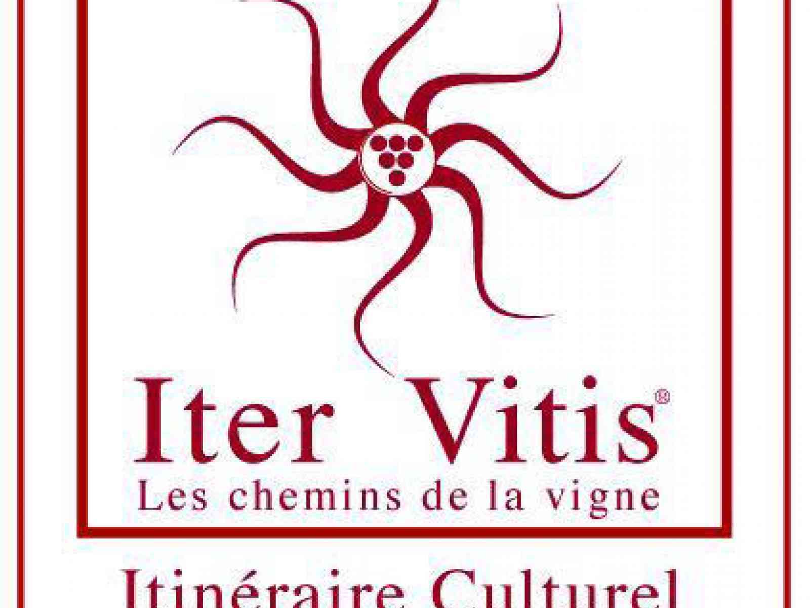 Inycon 2012 - Protocollo d'intesa tra Federazione Strade del vino di Sicilia e Ass. nazionale Città del Vino