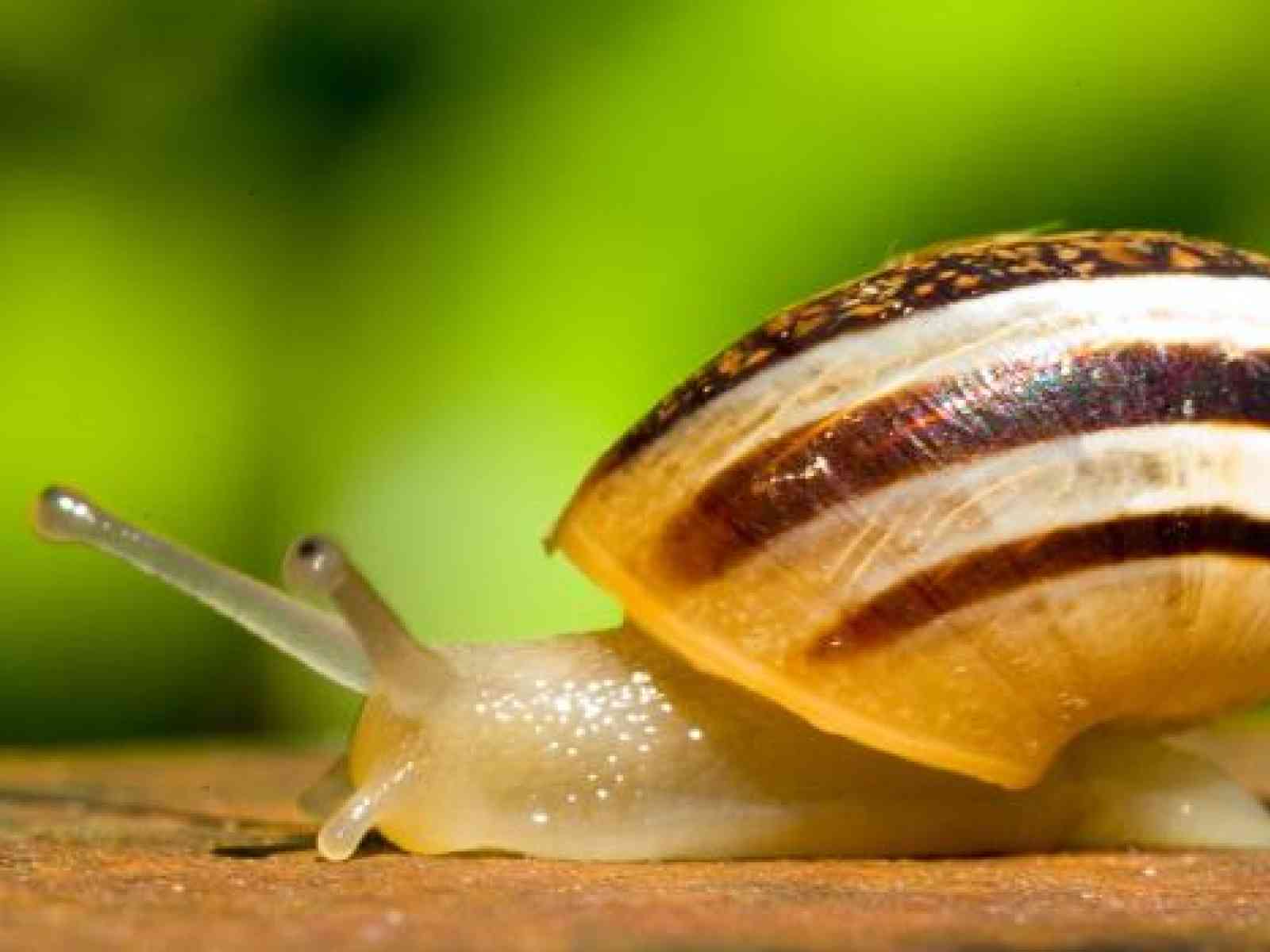 Menfi, Montevago, Sambuca e Santa Margherita: l'immobilismo delle Terre Sicane