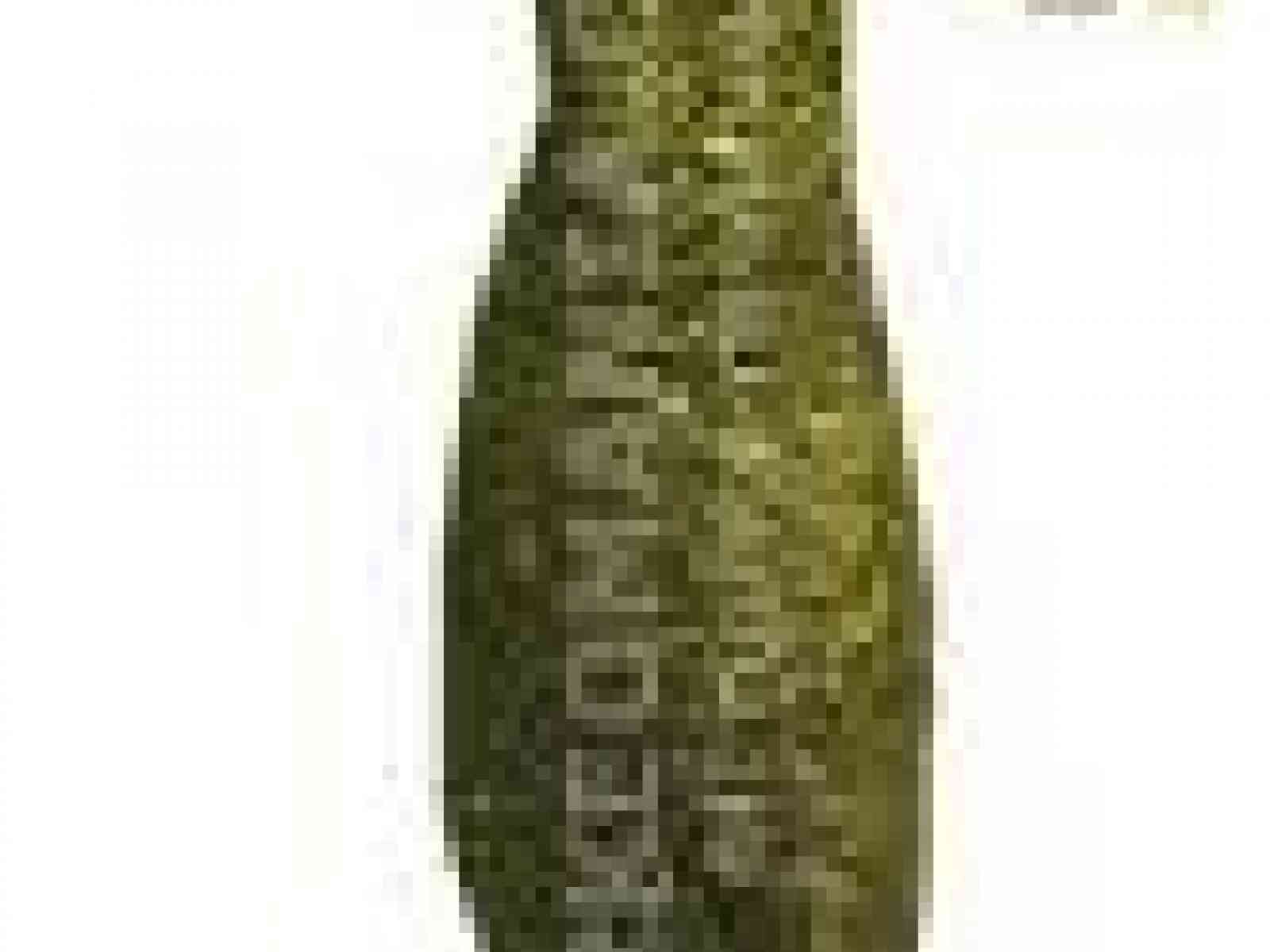 Melqart, il sindaco Di Paola rinnova la richiesta al Dipartimento dei Beni Culturali