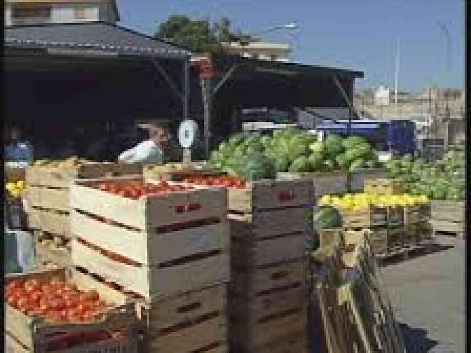 Mercato ortofrutticolo di Sciacca. Nominato un direttore.