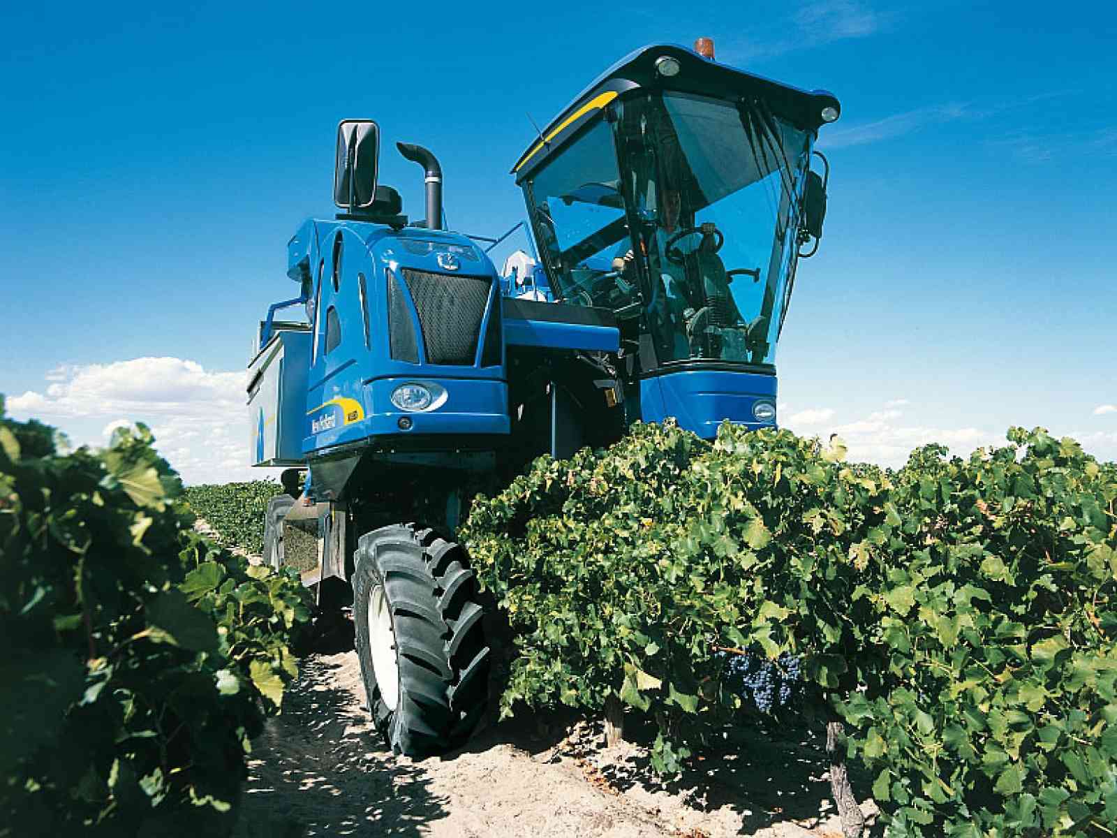 A fuoco macchina vendemmiatrice a Menfi