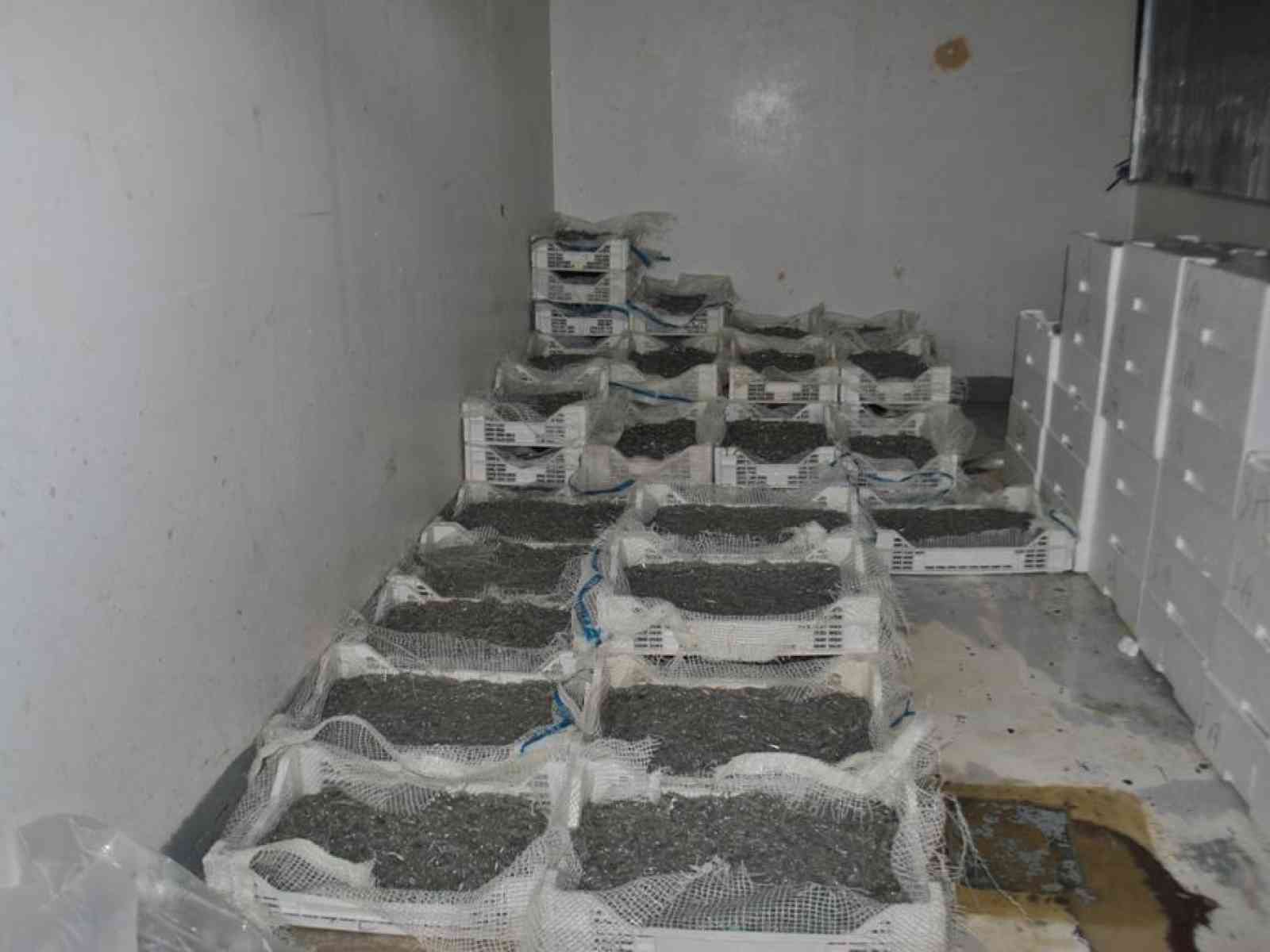 Sicilia - Ritirato il decreto che consentiva la pesca al novellame