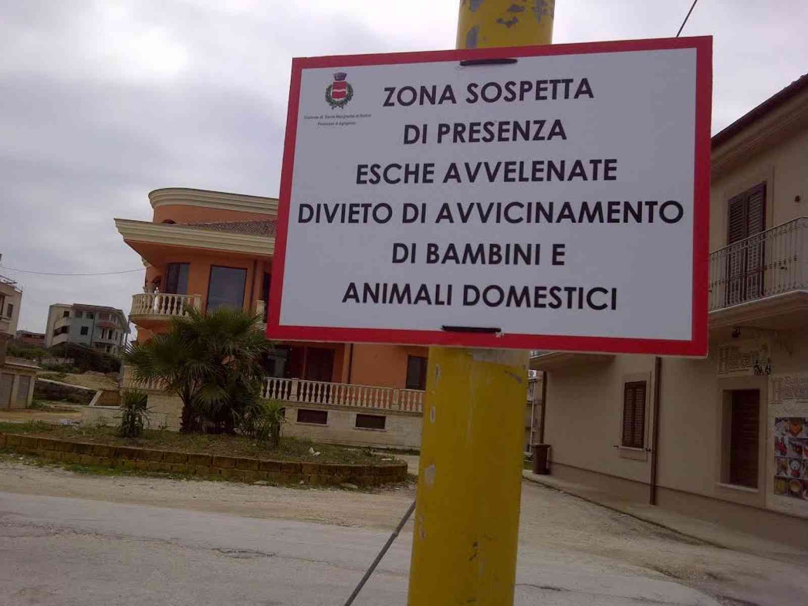 Avvelenati cinque cani vicino ad una scuola materna