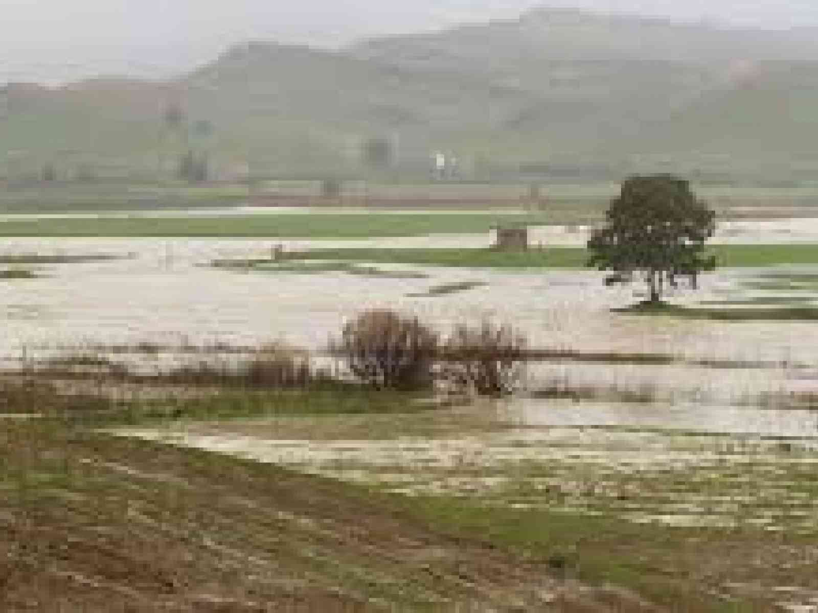 Maltempo e danni alle colture del territorio riberese. Si chiederà lo stato di calamità