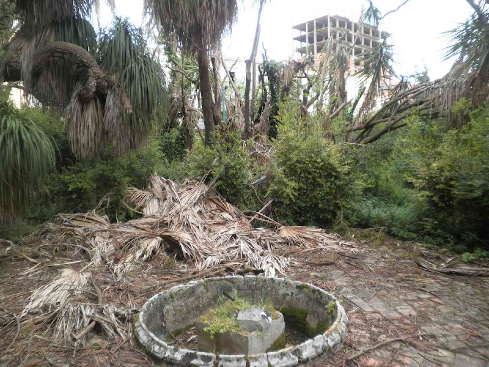 Villa di Santa Margherita: “La selva del Gattopardo“. No a stato di calamità. Giornata ecologica per ripulirla