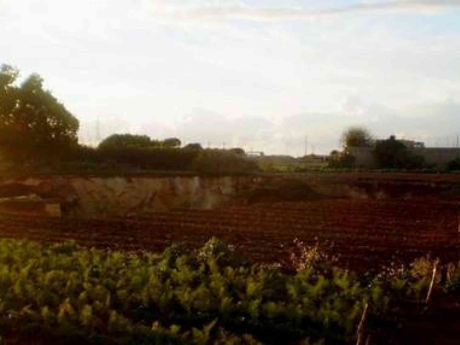 Voragine di 2 mila mq si apre a Marsala. Un intero orto 'Inghiottito' a 15m di profondità