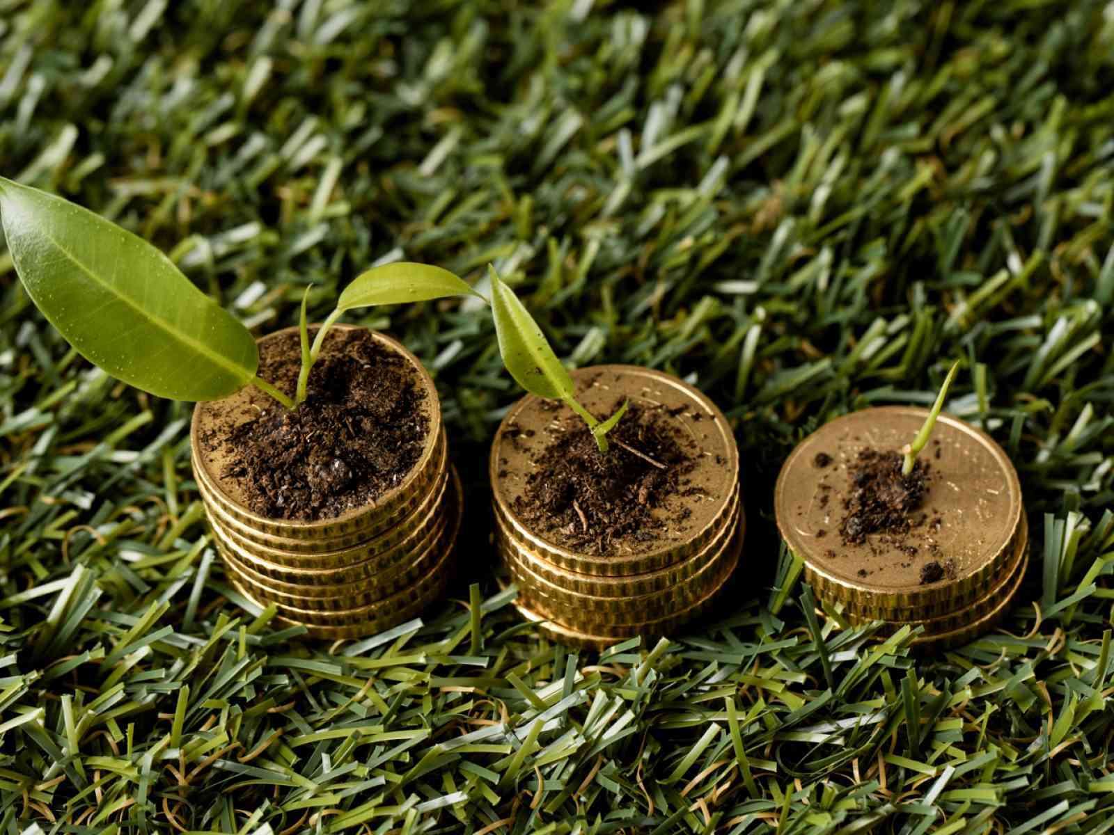 Immagine articolo: Menfi ospita il convegno “Trasformare gli scarti in risorse”: un dialogo tra ricerca e impresa per la Green Economy del futuro