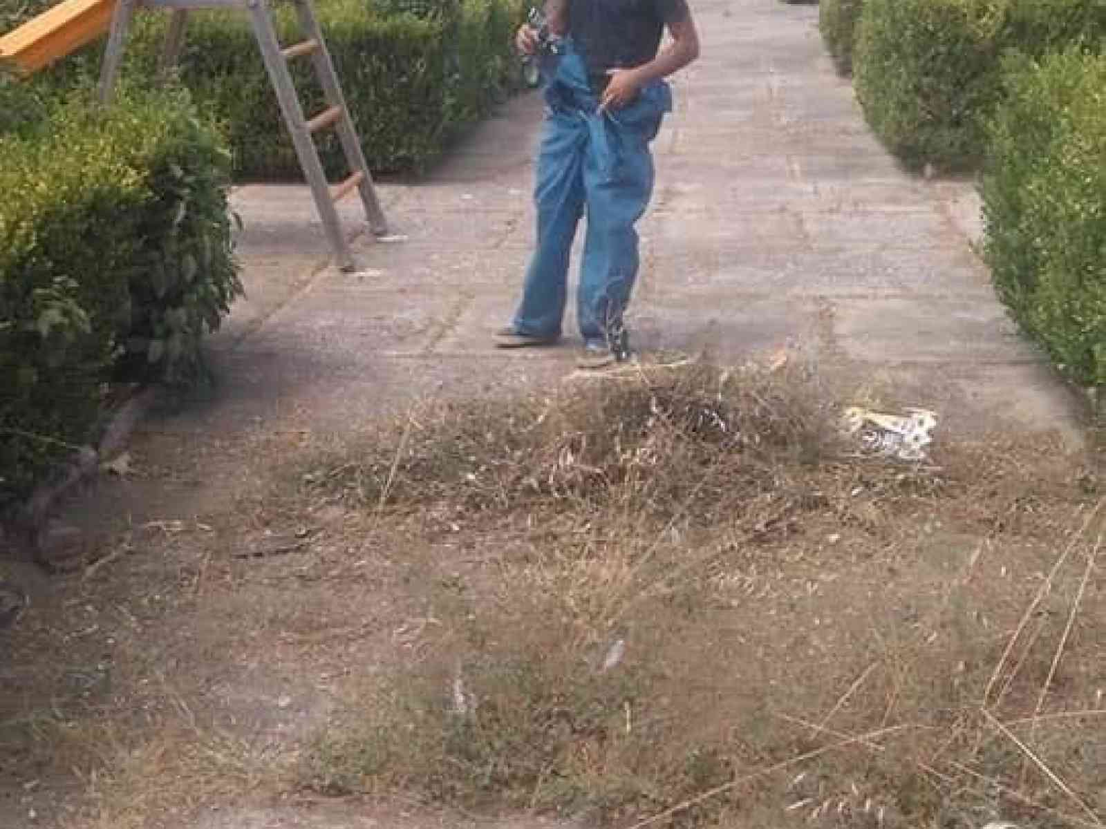 Immagine articolo: Menfi. Volontari al lavori questa volta per ripulire dalle erbacce la villa comunale.