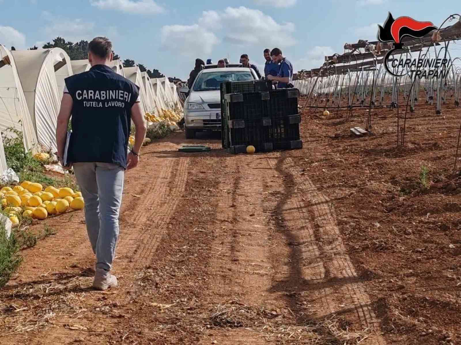 Immagine articolo: Sicurezza sul lavoro, controlli a imprese agricole tra Menfi, Sciacca e Caltabellotta