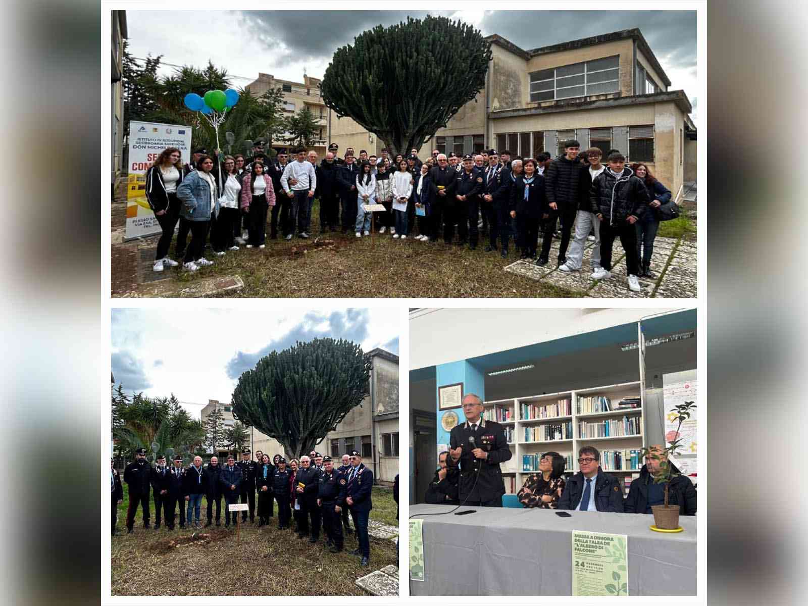 Immagine articolo: Menfi, piantata la talea dell'Albero di Falcone all'IISS “Don Michele Arena“