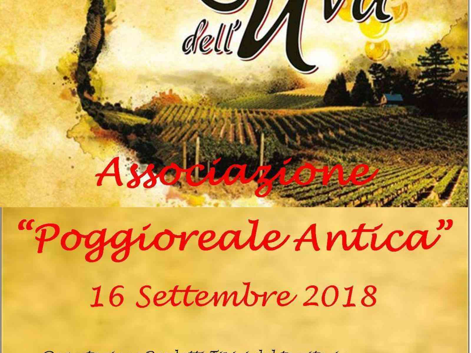 Immagine articolo: Festa dell'uva a Poggioreale il prossimo 16 Settembre. Promozione dei prodotti a 360°