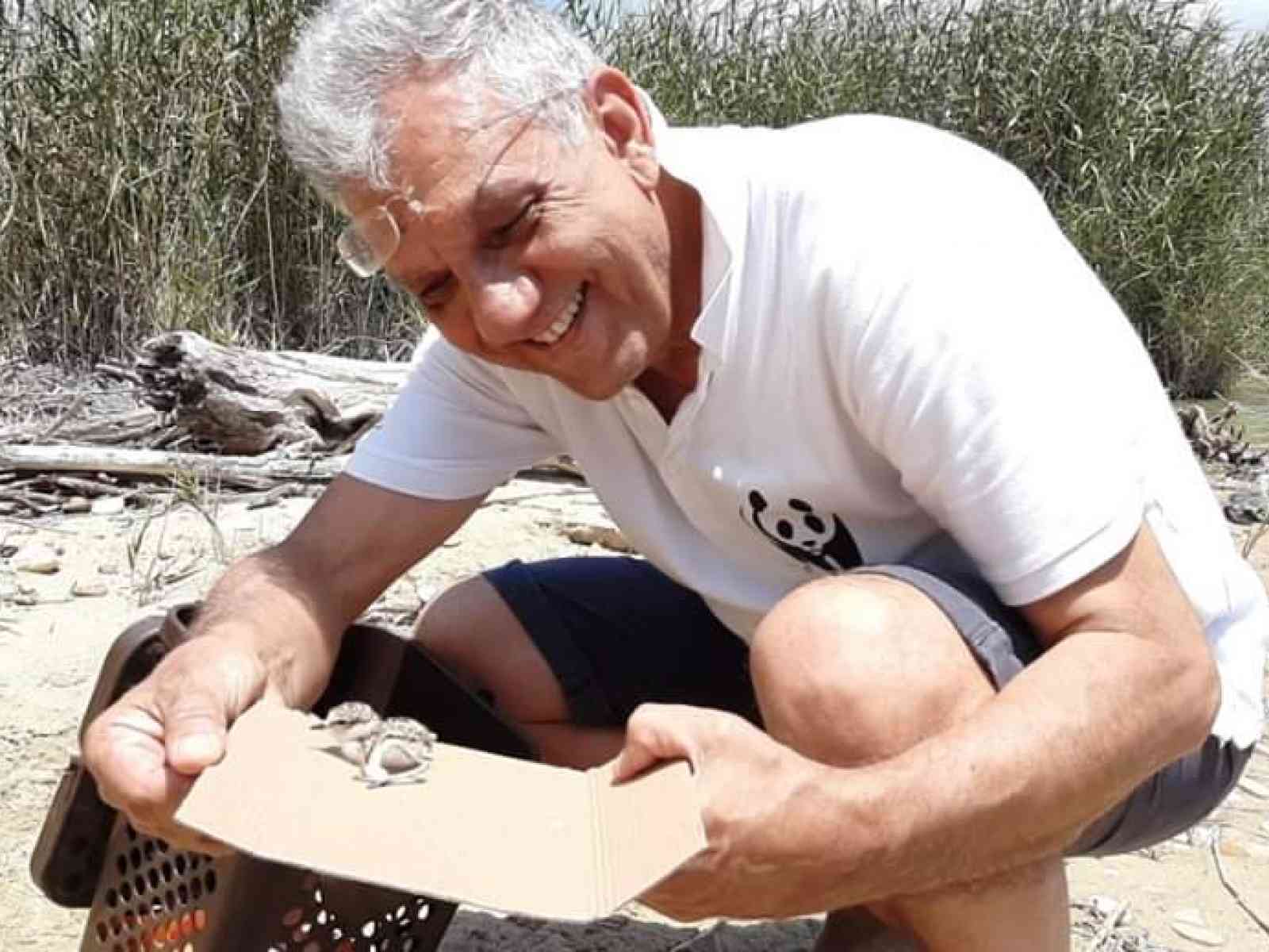 Immagine articolo: A Ribera nidifica il “fratino”. Eccezionale scoperta del Wwf, il trampoliere arriva dall’Africa