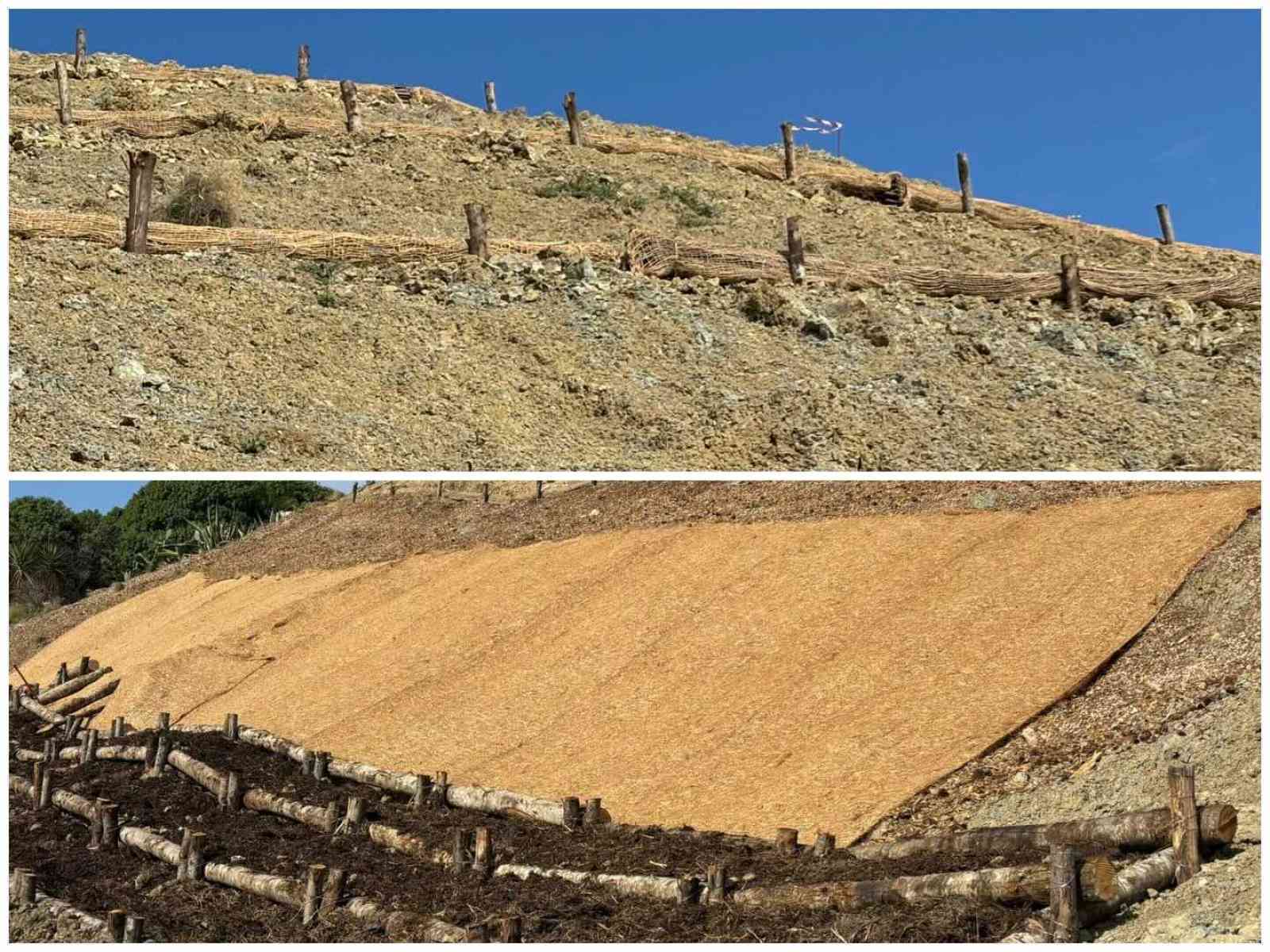 Immagine articolo: Risanamento frana di Porto Palo. Rosmarino, vite e alte piante per contrastare l’erosione del suolo