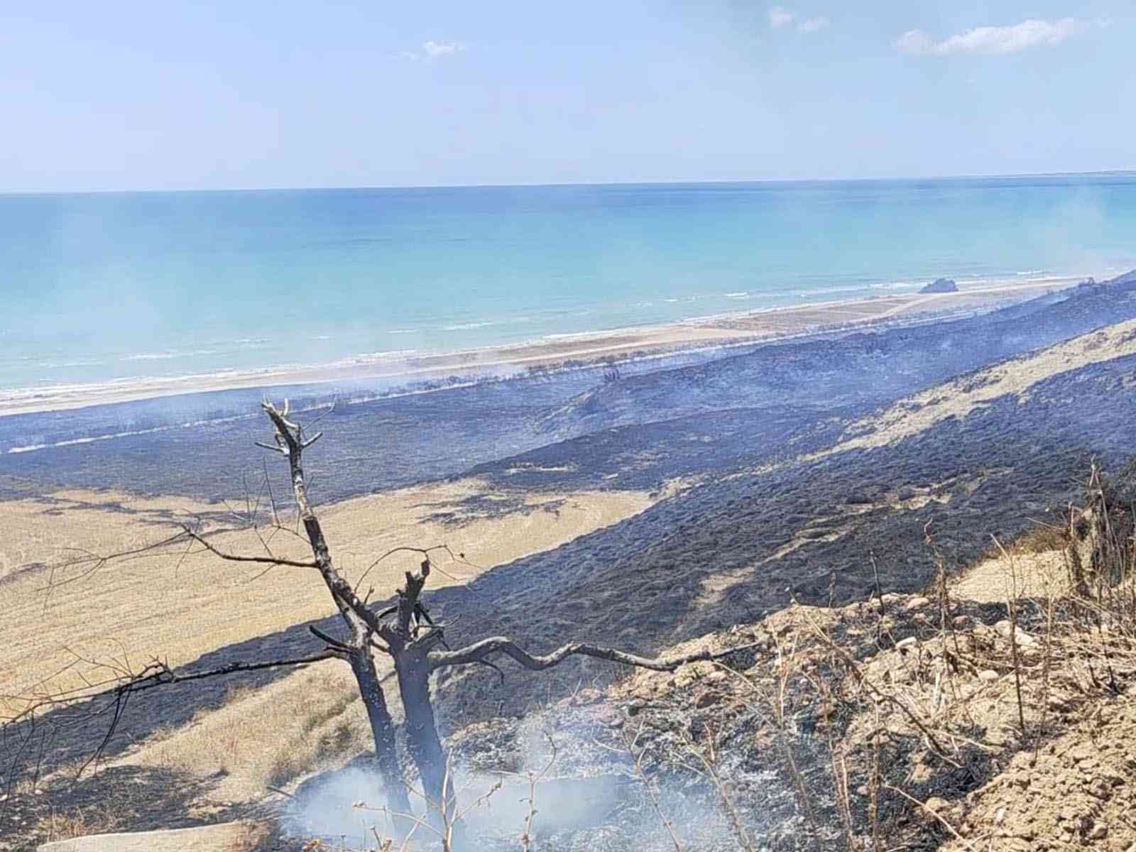 Immagine articolo: Ancora incendi a Menfi. Ieri bruciati 25 ettari in contrada Bertolino