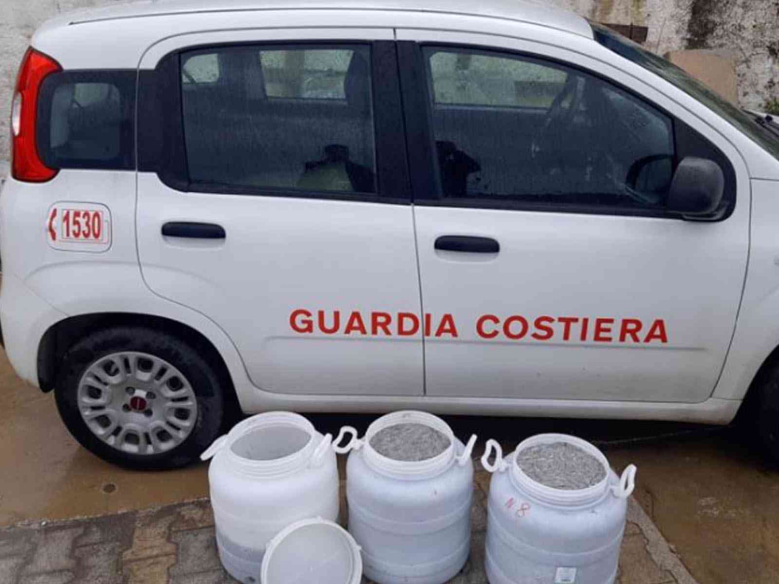 Immagine articolo: Sequestrate dalla Guardia Costiera circa 100 Kg di novellame di sarda