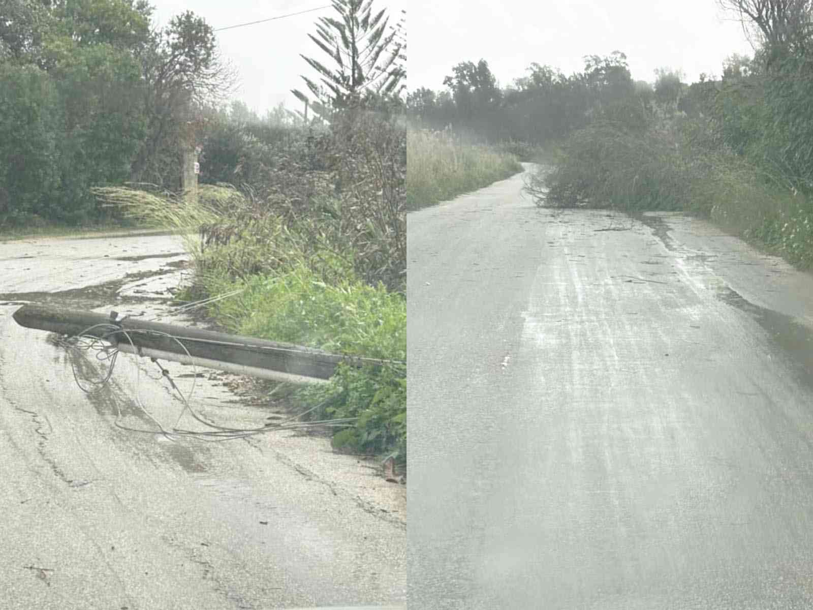 Immagine articolo: Menfi. Tromba d'aria nella notte. Alberi e tralicci divelti dal vento