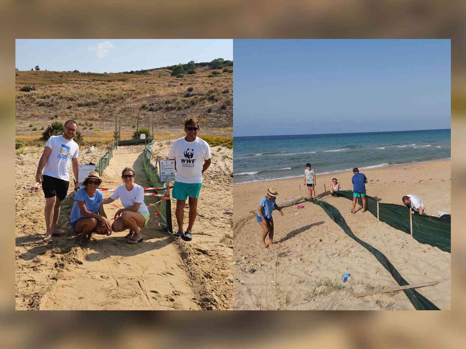 Immagine articolo: Caretta caretta: a Menfi i volontari del WWF preparano il corridoio per la schiusa