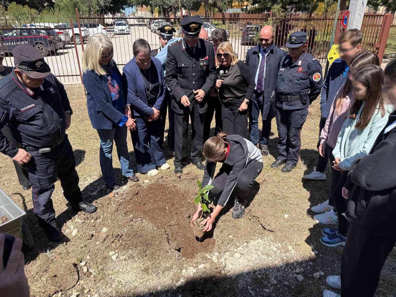 Immagine articolo: A Menfi le radici della legalità: piantata la talea dell’Albero Falcone all'I.C. 'Santi Bivona'